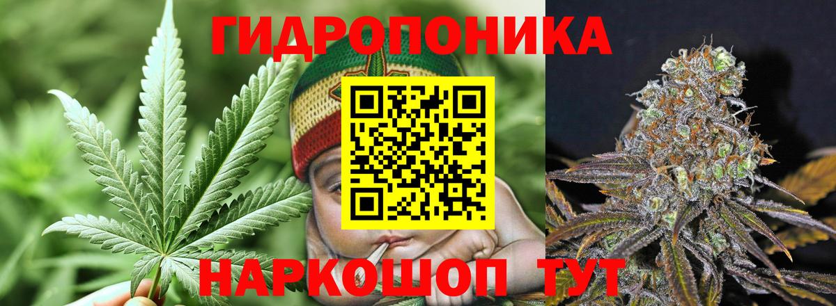 МАРИХУАНА семена  Вход с VPN  Муром  Бошки марихуана SATIVA & INDICA  Каннабис конопля  Марихуана марихуана 